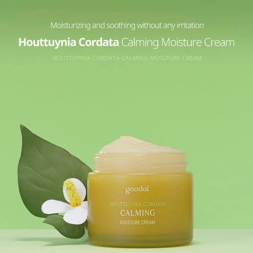 Crema Viso Lenitiva Houttuynia Cordata Calming Moisture Cream Goodal 